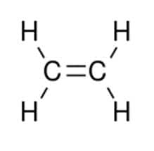 What IS HDPE Plastic? Astounding Recycle Symbol 2.